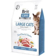 Сухой корм Brit Care Cat GF Large cats Power & Vitality для котов крупных пород 2 кг (8595602540914): Тип Сухой корм