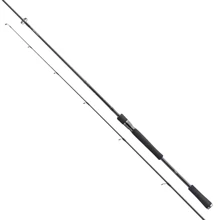 Спінінгові вудилище Daiwa Prorex XR 2020 Spin 2.40m 70-135gr: Тип вудлища спиннинговое