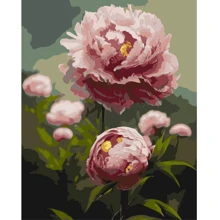 Картина по номерам Origami Пионы – цветы весны 40x50 см LW3273: Производитель Origami
