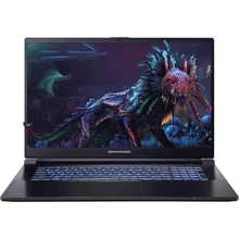 Ноутбук Dream Machines G1650-17 (G1650-17UA97) UA: Экран 17.3" WVA (1920x1080) Full HD