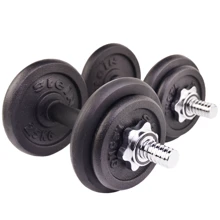 Гантель Stein 20 кг (LDBS-213): Вес гантели, кг 20 кг