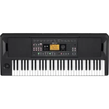 Синтезатор KORG EK-50: Тип Развлекательные