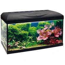 Аквариум Amtra Wave Basic 80 Led 95 л с фильтром и нагревателем (A2001846): Производитель Amtra