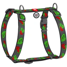 Шлея WAUDOG Nylon с QR-паспортом рисунок Калина L 25 мм 50-90 см серый (5160-0228): Производитель WAUDOG