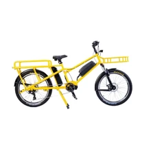Электровелосипед Bayka City Bike 24" mid-drive motor 25Ah с двумя батареями: Допустимая нагрузка, кг 120