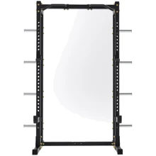 Фитнес станция inSPORTline Power Rack PW250 (26567): Тип конструкции стационарный