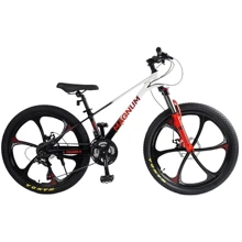 Велосипед спортивний Corso Magnum 24" (MN-24255): Діаметр коліс, дюймів 24