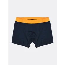 Трусы H&M 7485169 110-116 см темно-синие: Тип Трусы