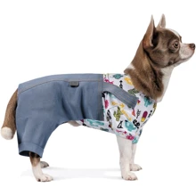 Костюм Pet Fashion Астро для маленьких собак XS голубой: Тип Костюмы