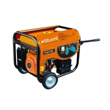 Генератор бензиновий Sturmax PG8770E: Тип електростанції бензиновий