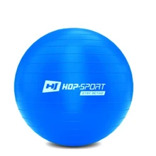 М'яч для фітнесу Hop-Sport HS-R055YB blue 55 см: Діаметр, см 55