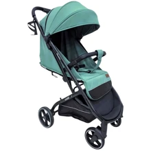Дитячий візок Joy Elegans (A-40481): Тип коляски Прогулянкова