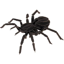 Павук Spider Fridolin 3D модель: Вид Флора і фауна