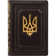 Щоденник "Тризуб": Виробник Купола