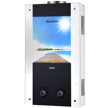 Водонагреватель газовый Thermex ETALON A 10 G (Пристань): Вид Дымоходный