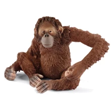Іграшка-фігурка Schleich Самка орангутангу (14775): Тип Игровая фигурка