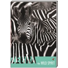 Комплект блокнотов "Wild Spirit", А6, обл. - картон з поролоном, полноцветная ламинированная, 80 л., клетка, 5 штук (CF21201-21): undefined undefined
