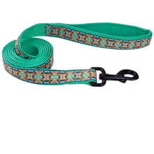 Поводок Coastal Ribbon Weave Leash для собак темно-бирюзовый с косточками 1.6 смx1.8 м: Тип Поводок