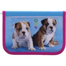 Пенал CLASS 98203, 1 отд., 2 отворота, без наполнения Lovely Puppies: Год выпуска коллекции 2019