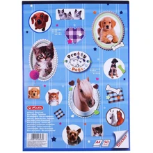 Альбом для рисования Herlitz A4 50 листов 70г Pretty Pets Dog с наклейками: Тип скрепления Проклеен