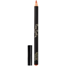 Pierre Cardin Lipliner Waterproof Sunset Олівець для губ 2 g: Вид Контурный карандаш для губ