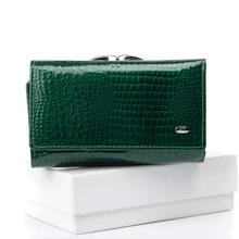 Женский кошелек Sergio Torretti зеленый (31349 dark-green): Пол Женский