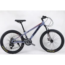 Спортивный велосипед Corso Rider 24" серый (RD-24690): Диаметр колес, дюймов 24