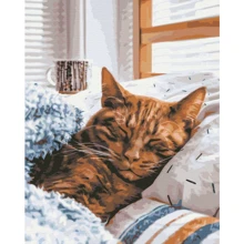 Картина по номерам Brushme Утренний котик 40x50 см (BS52320): Производитель Brushme