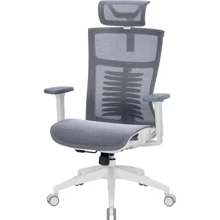 Офісне крісло OfficePro Balance OC620-W-DG-DG: Тип для персоналу