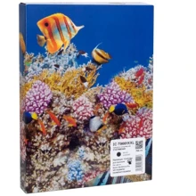 Картридж Barva Epson T9661 XXL (C13T966140) 40K, black (IC-T9661XXL): Производитель Barva