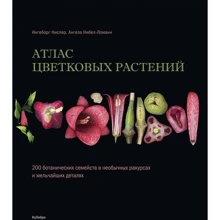 Інгеборг Ніслер, Ангела Нібель-Ломанн: Атлас квіткових рослин: 200 ботанічних сімейств в незвичайних ракурсах і найдрібніших деталях: Виробник Колібрі