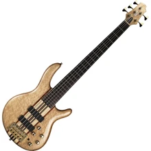 Бас-гитара CORT A5 Custom 20th Anniversary (NAT) + кейс: Тип Бас-гитара