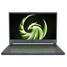 Ноутбук MSI Delta 15 A5EFK (A5EFK-060PL): Экран 15.6 " (1920 x 1080)