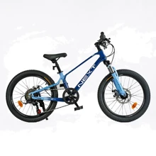 Велосипед спортивний Corso Next 20" (NX-20110): Діаметр коліс, дюймів 20