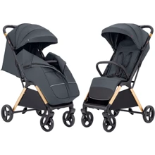 Прогулочная коляска Carrello Cross CRL-5523 Eagle Grey: Тип коляски Прогулочная