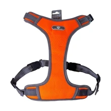 Шлея AnimAll HL-8005-1 для собак оранжевая M (167225): Производитель AnimAll