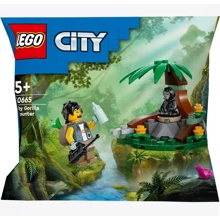 Конструктор LEGO Minifigures Зустріч з малюком горили (30665): Серія Minifigures