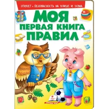 Моя первая книга правил: Производитель Пегас
