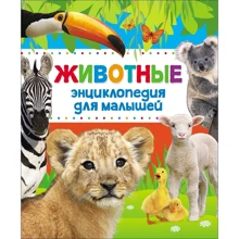 Животные Энциклопедия для малышей: Производитель Росмэн