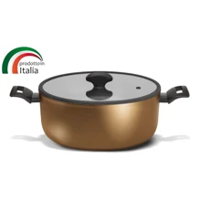 Кастрюля TVS TENACE INDUCTION 20см с крышкой (DT474203710001C): Тип Традиционная