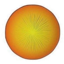 Тарелка десертная Luminarc SOLEIL YELLOW H8838 (220мм): undefined undefined