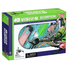 Об'ємна анатомічна модель 4D Master Скорпіон (FM-622033): Виробник 4D Master