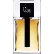 Туалетна вода Christian Dior Homme 2020 100ml Тестер: Вид Туалетна вода