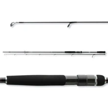 Спінінгові вудилище Daiwa Prorex AGS 2,4m 30-70gr (11290-243): Тип вудлища спиннинговое