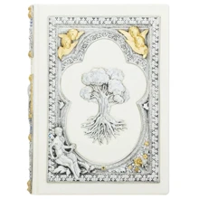 Родинна книга: Виробник Купола