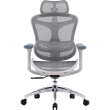 Офисное кресло Sihoo DORO C300L Mesh White (DORO-C300L-A3-102): Тип для персонала