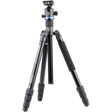 Benro FIF28AIB2 "Travel" с моноподом: Тип штатива напольный