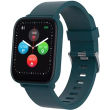 Смарт-часы Canyon Easy SW-54 Green: Дисплей 1.7" IPS (240x280)