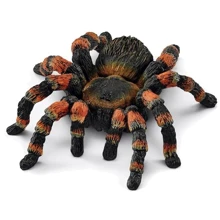 Іграшка-фігурка Schleich Павук-птахоїд (14829): Тип Игровая фигурка