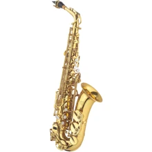 Альт саксофон J.MICHAEL AL780L (S): Производитель J.MICHAEL